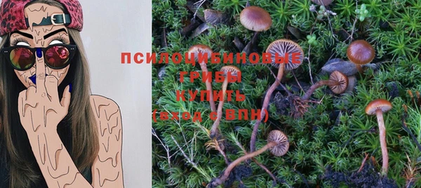 синтетический гашиш Алексин