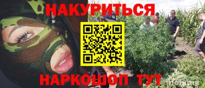 трава Славянск-на-Кубани