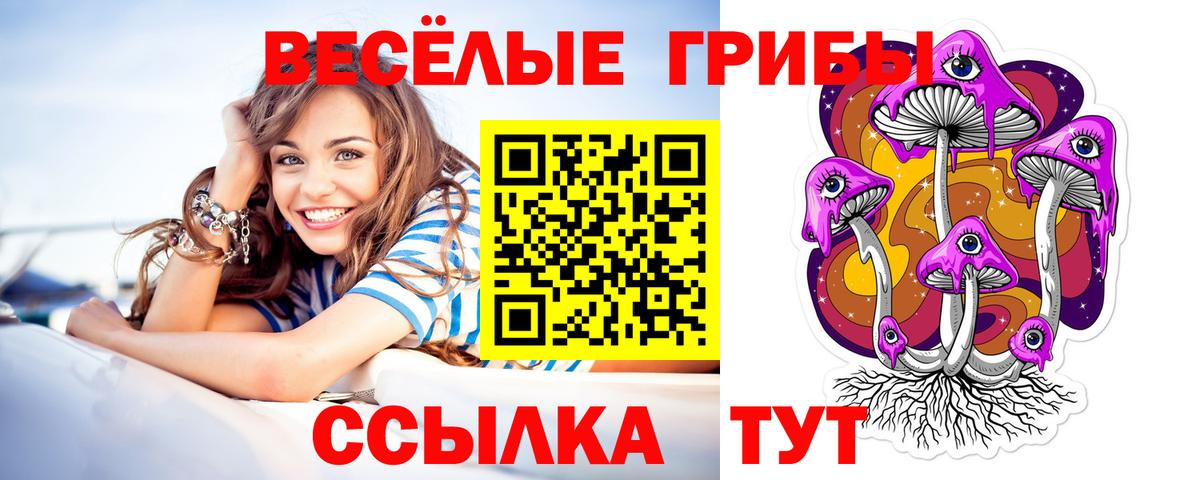 Шахты  Галлюциногенные грибы Cubensis  Вход с VPN 